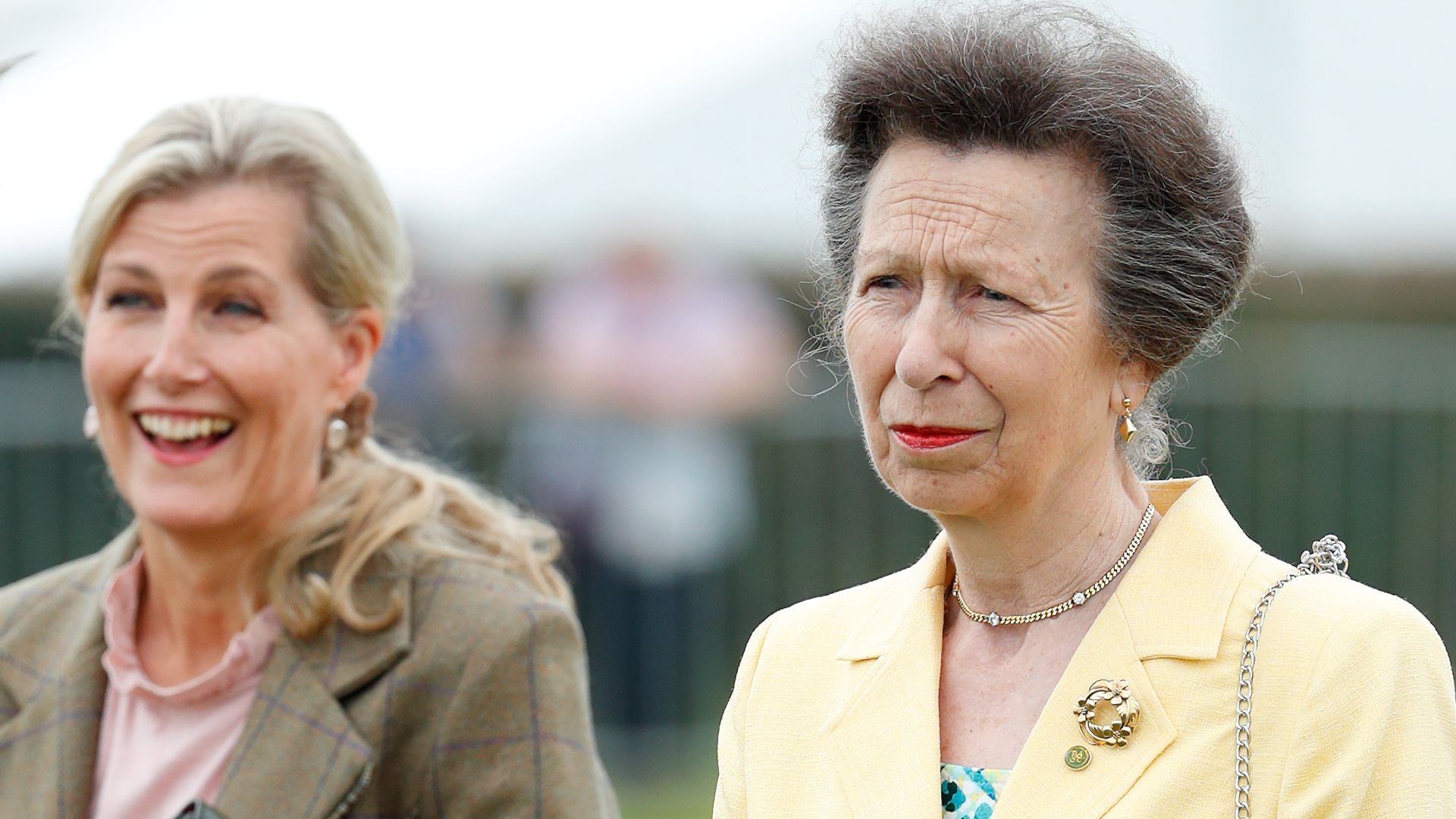 Princess Anne and Duchess Sophie’s royal first you might have missed