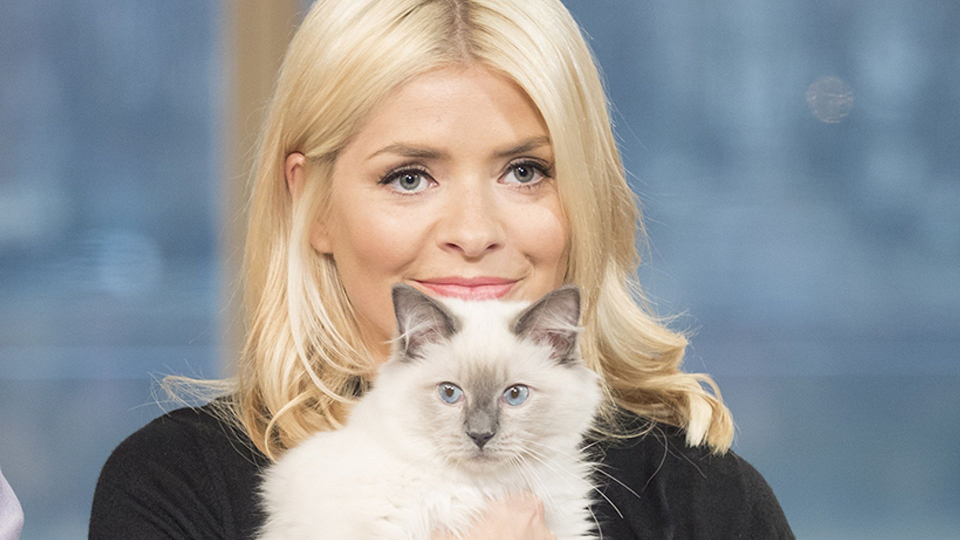 holly willoughby cat