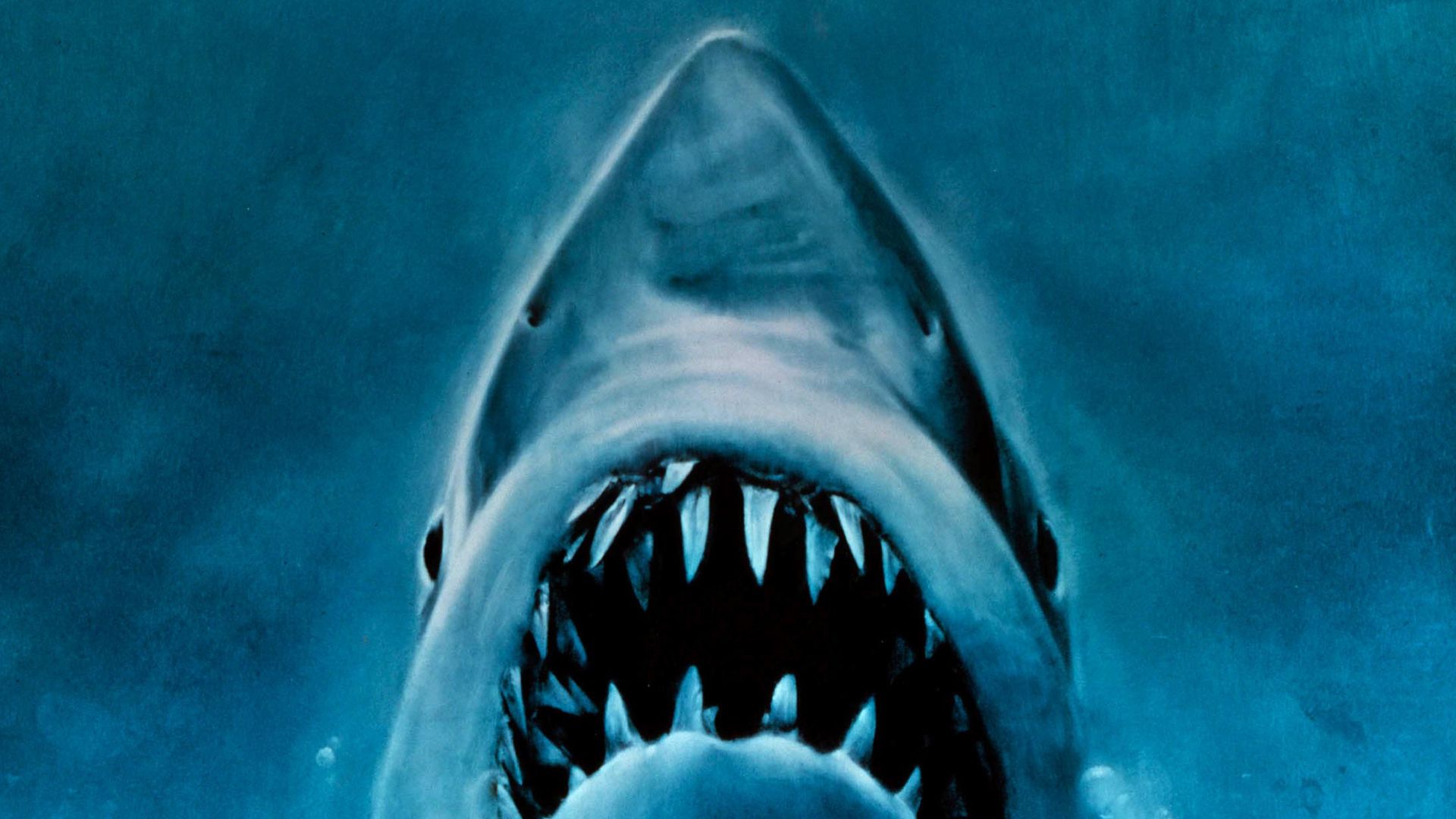 Jaws movie poster of shark and swimmer
