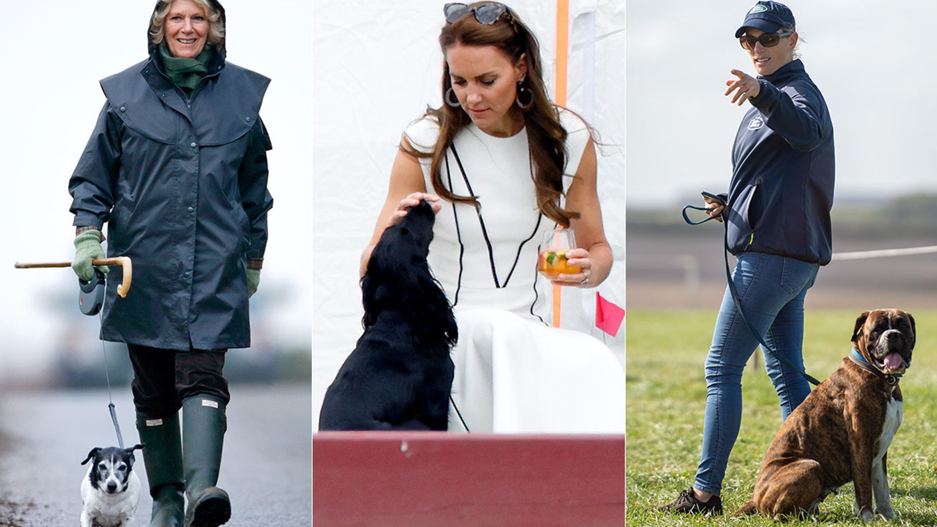 11 royal families who are proud dog owners