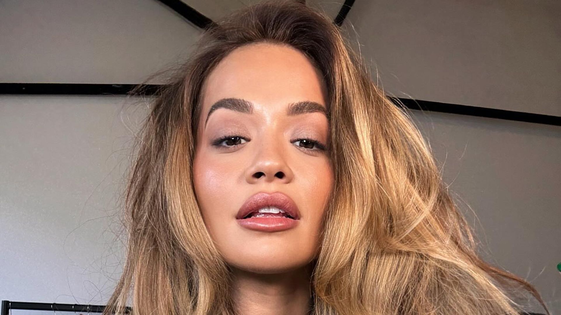 Rita Ora poses for a selfie on her Instagram