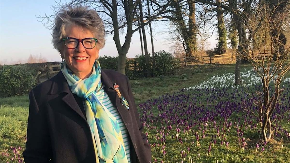 GBBO's Prue Leith's former £10million home has to be seen to be