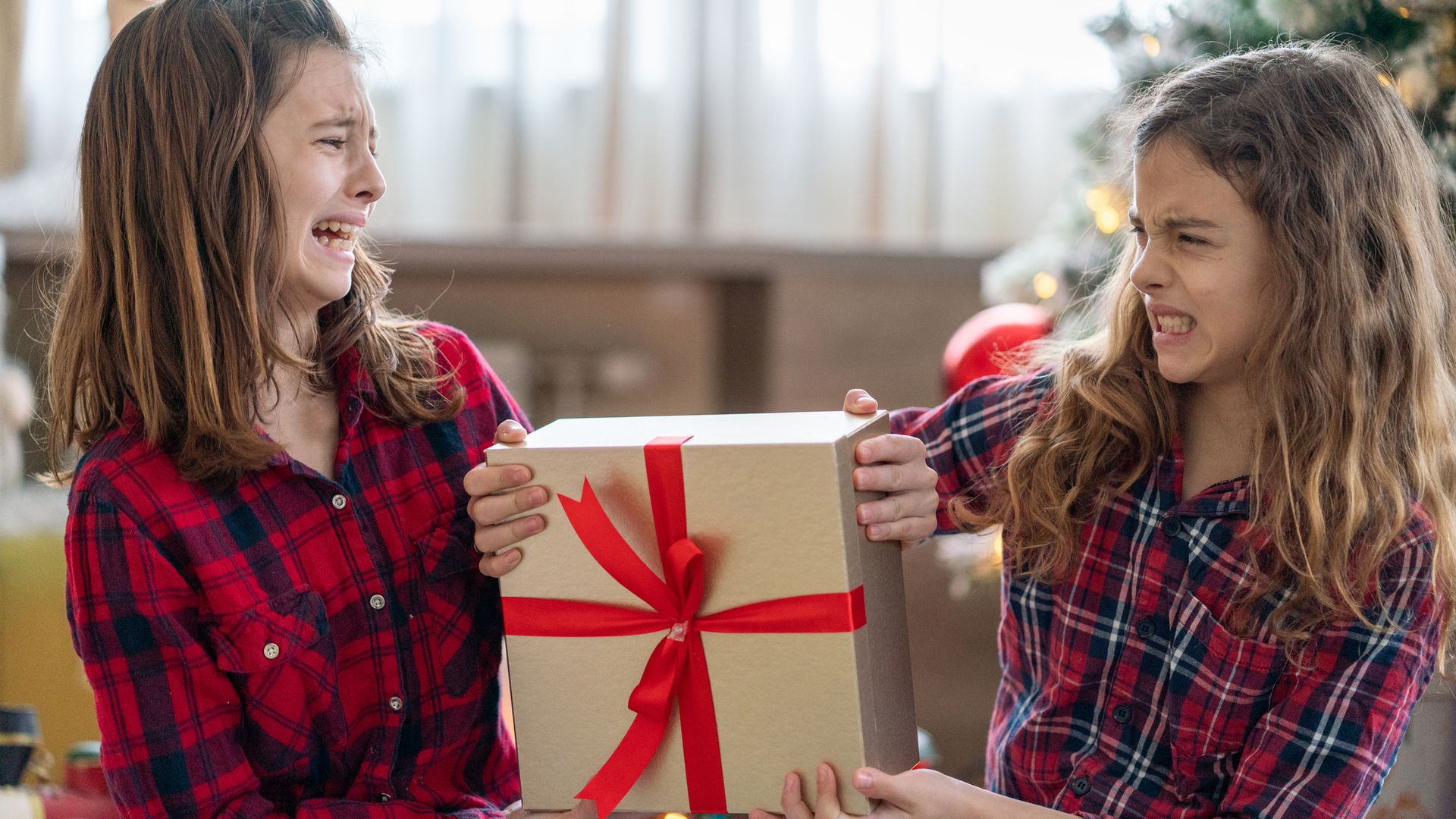 Two girls are arguing over a Christmas present at home