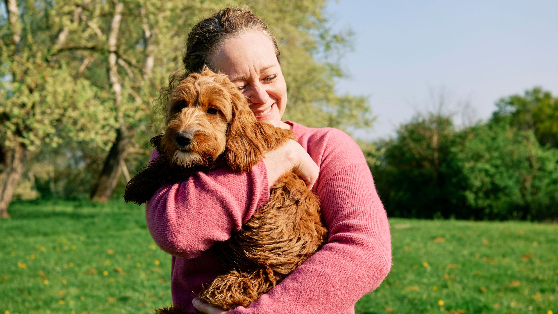 woman holding her Cockapoo dog in a green field on an early spring morning