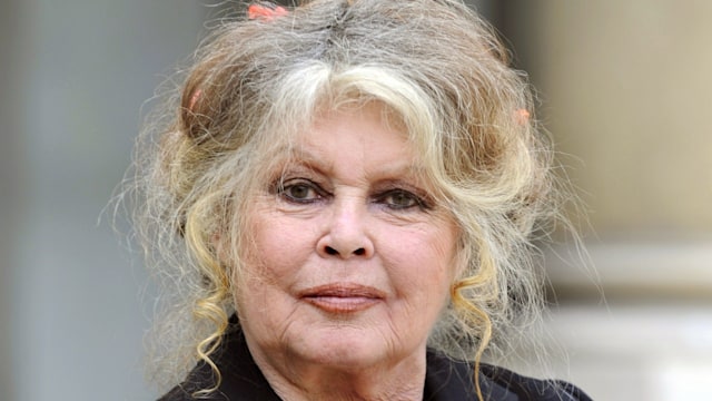 FILES - A picture taken on September 27, 2007 shows French film legend and animal rights activist Brigitte Bardot posing at the Elysee palace in Paris after a meeting with French President Nicolas Sarkozy. Bardot, France's 1960s screen icon, received a 15,000-euro (23,000 dollar) fine on June 3, 2008 for inciting hatred against Muslims.