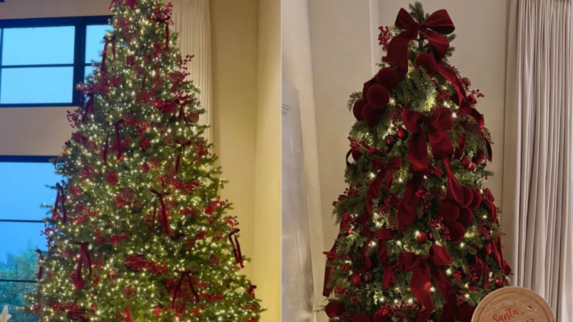 HELLO's favorite celebrity Christmas trees of the 2025 season