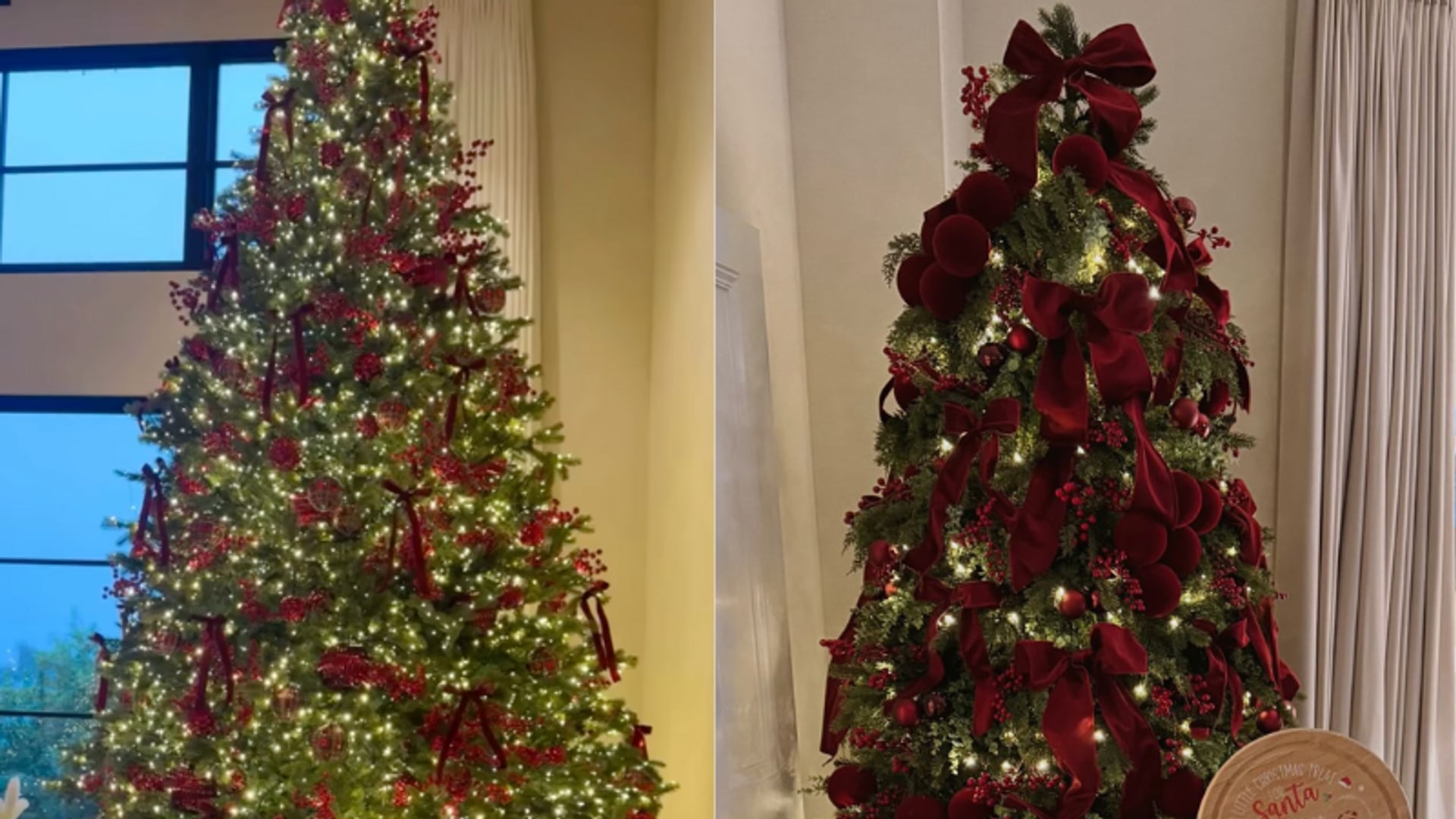 Celebrity Christmas Trees
