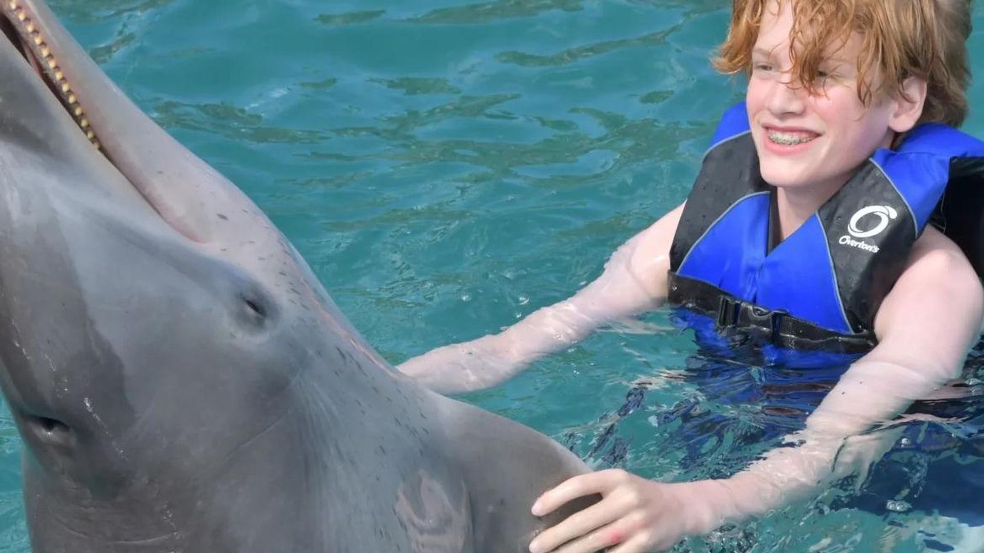 Swimming with dolphins at the Blue Lagoon is a highlight of any holiday