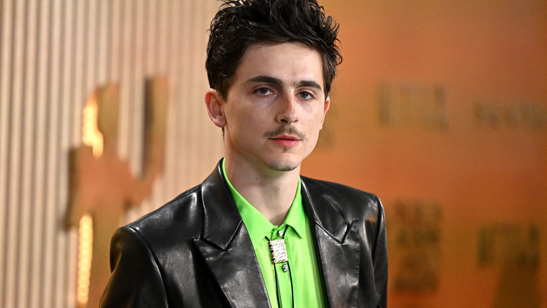 Timothée Chalamet is nominated for his performance in A Complete Unknown