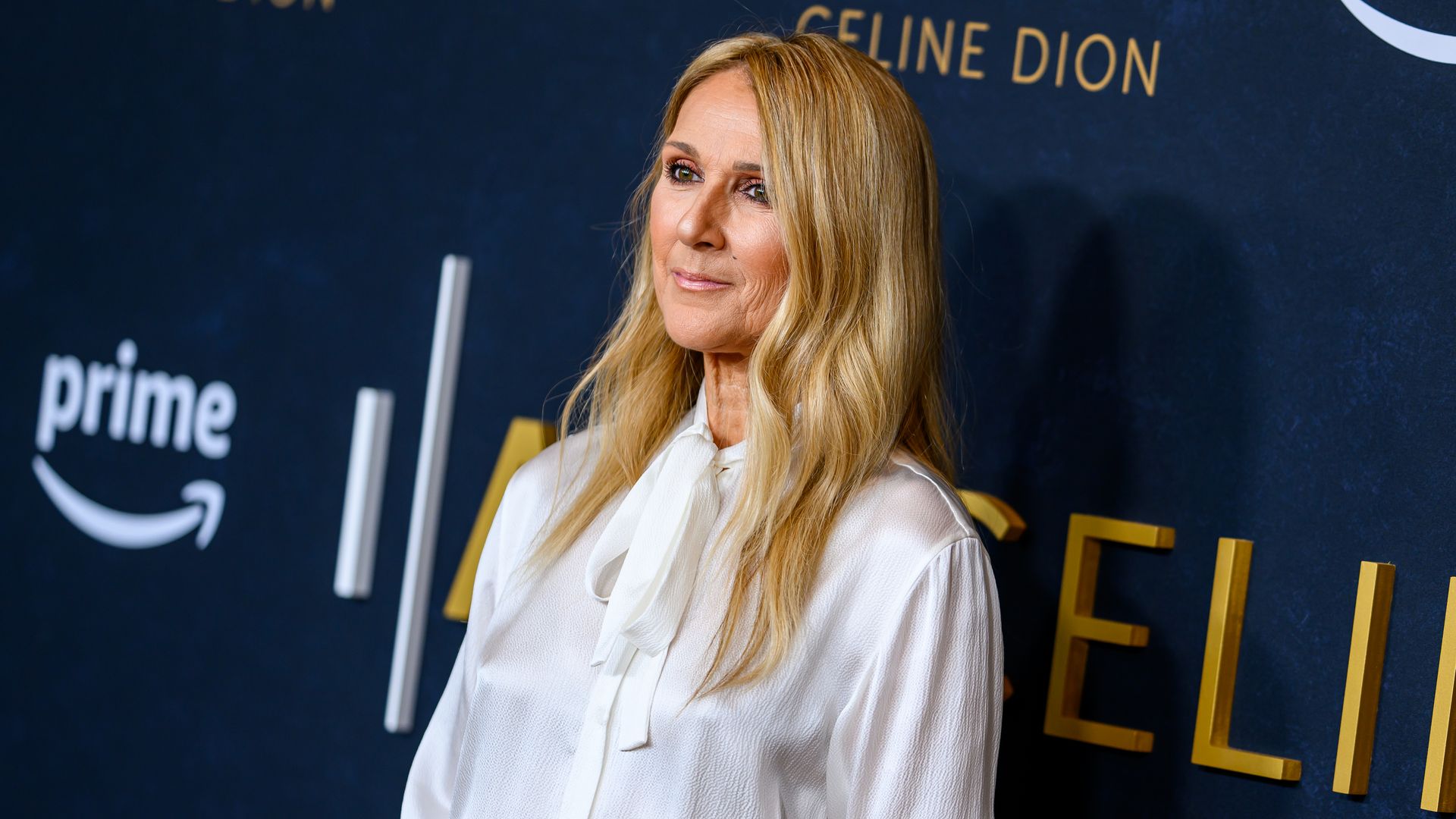 Celine Dion’s legs go on forever as she stuns in all-black semi-sheer look in unearthed photo