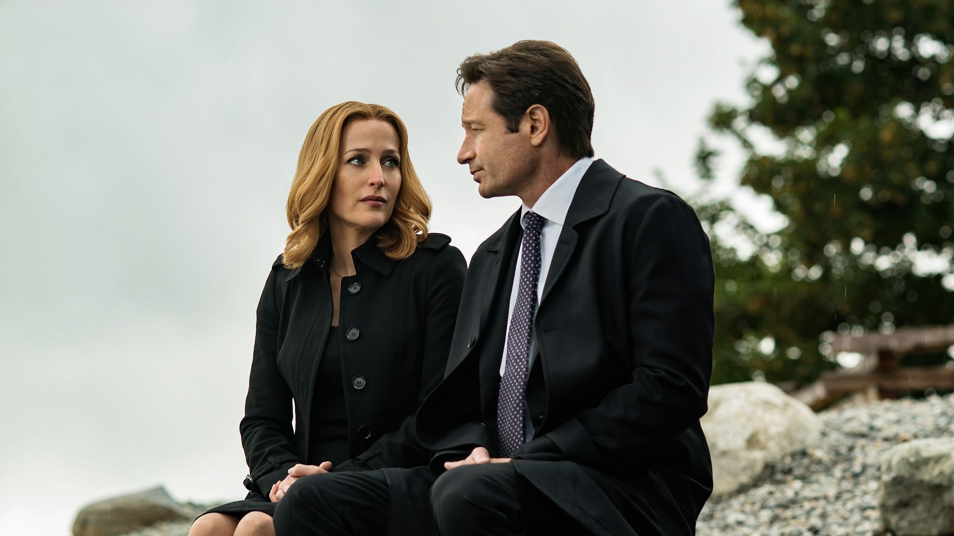 X-Files stars David Duchovny and Gillian Anderson reflect on major feud: not speaking, ‘crazy’ behaviour and more