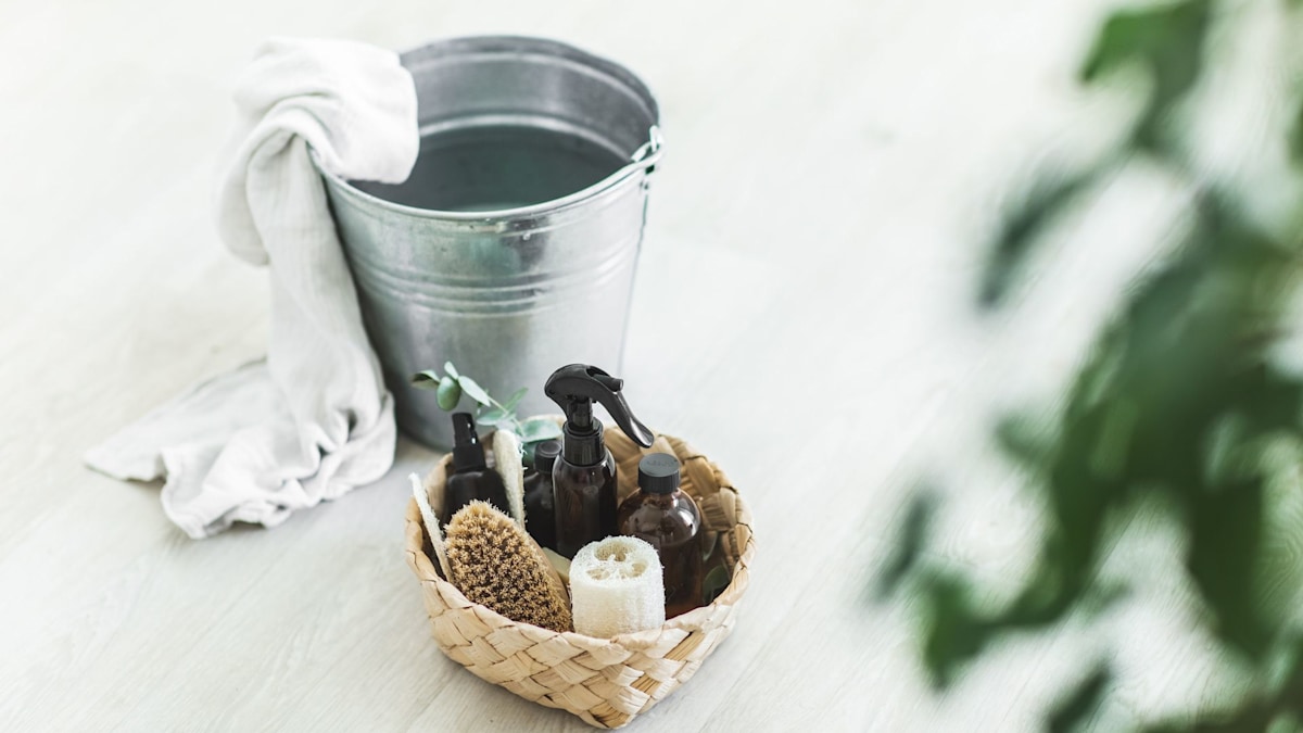 Is your daily cleaning routine effective? What experts say about natural, pet safe products