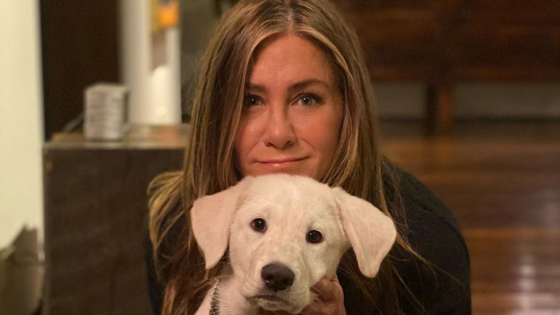 Photo posted by Jennifer Aniston on Instagram November 2020, pictured with her dog Lord Chesterfield, who she adopted in October of 2020.