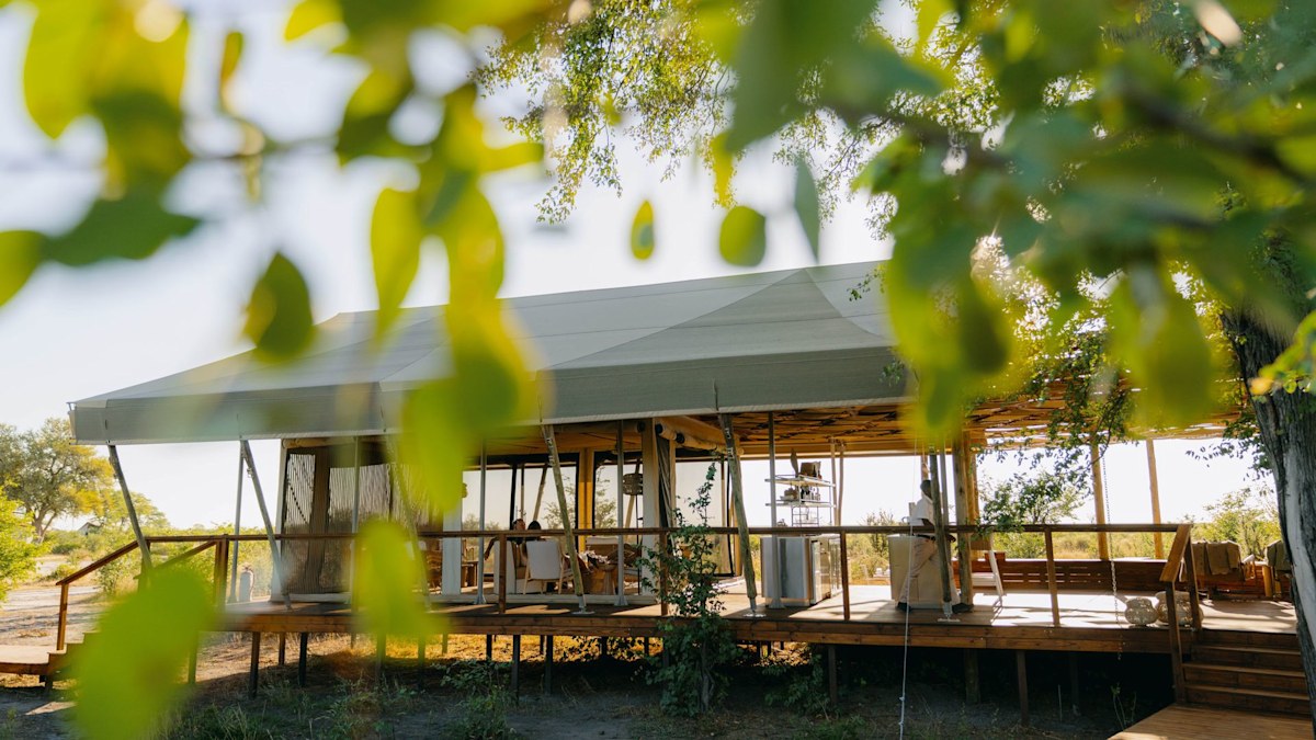 Your guide to a luxury safari trip in Botswana