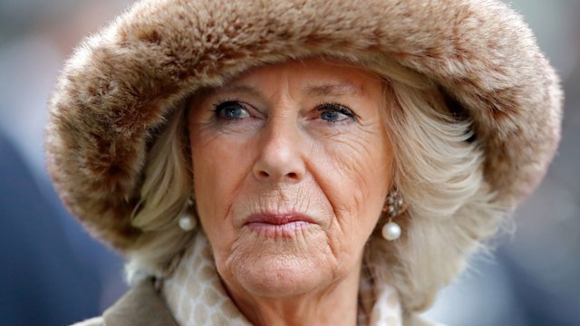 Queen Consort Camilla at Royal Ascot