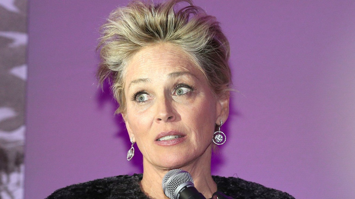 Sharon Stone, 66, reveals LA wildfires left her unable to walk without help