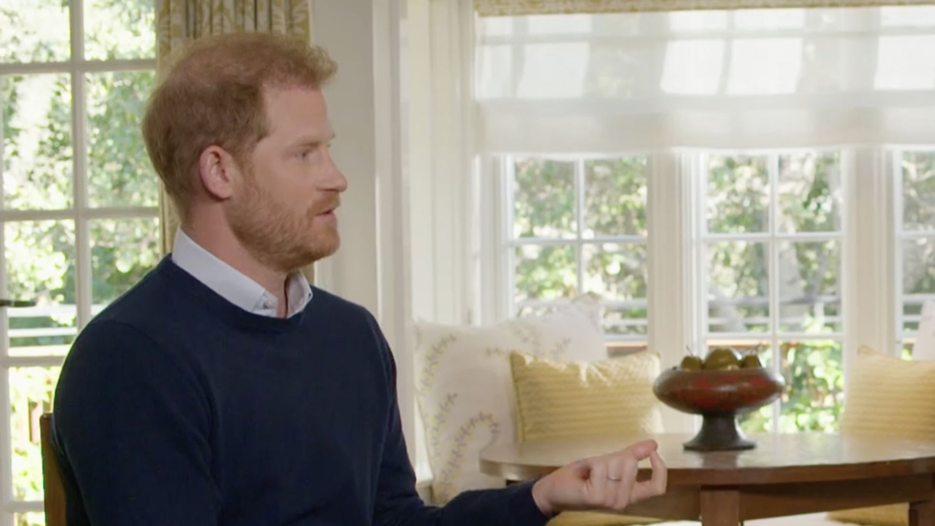 prince harry interview home