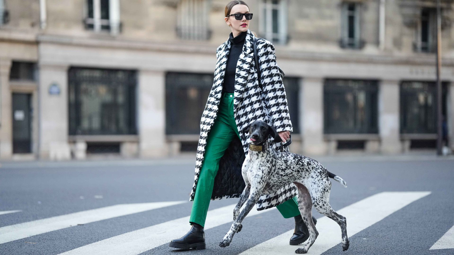 Woman walking dog during fashion week