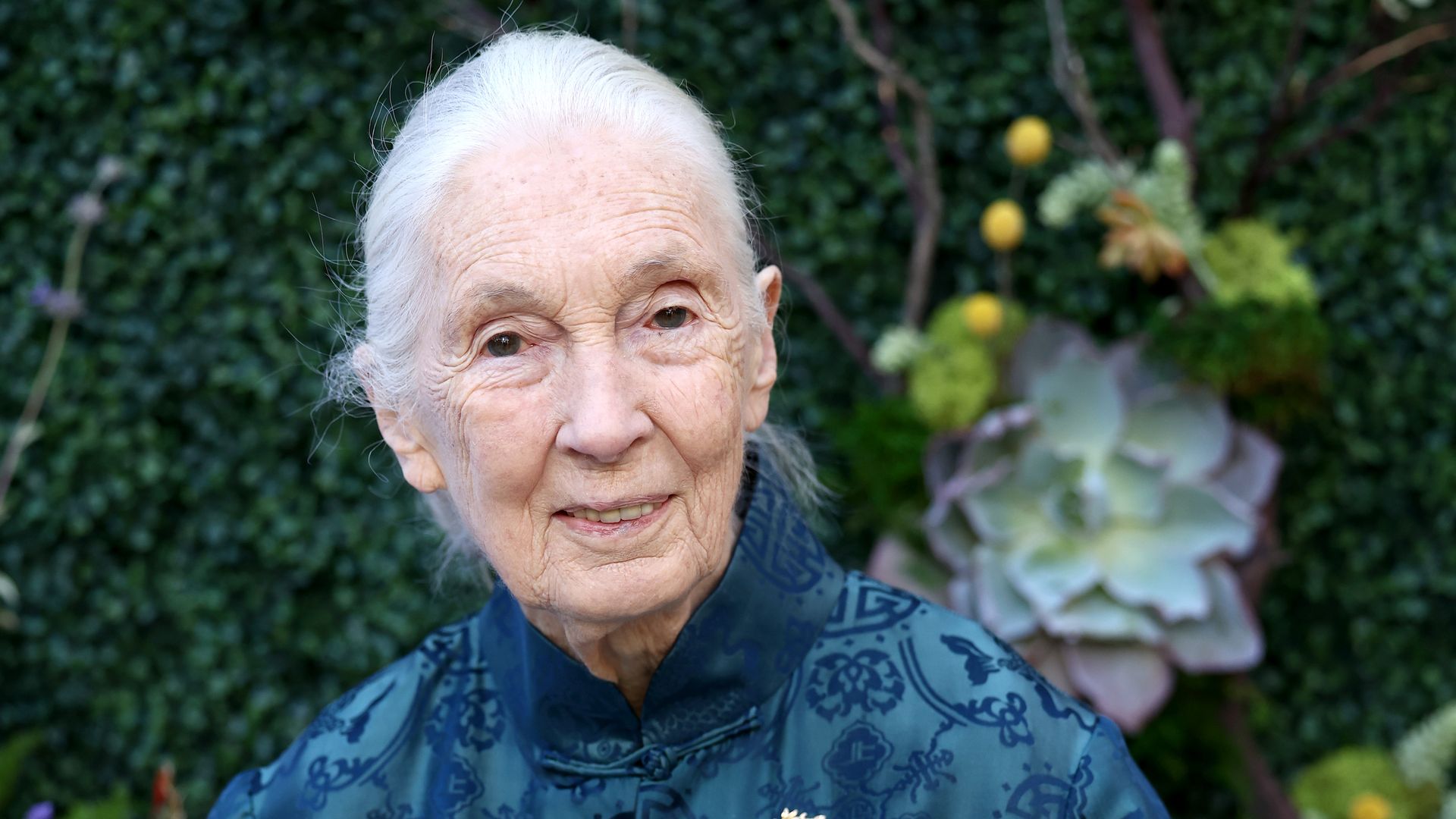 Jane Goodall