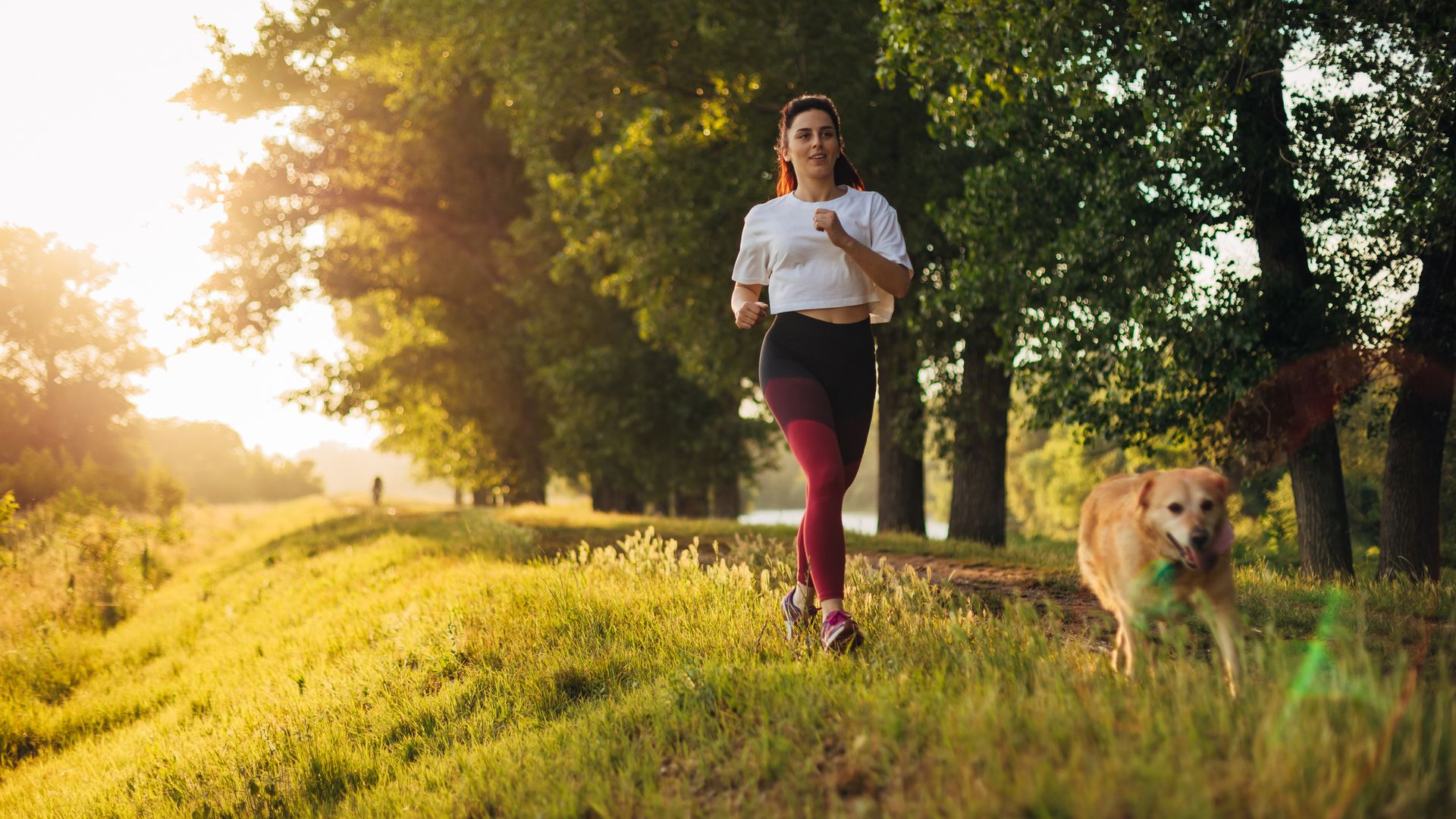 Female athlete jogging in the nature during sunset, while her cute female purebred dog, a golden retriever makes her a company