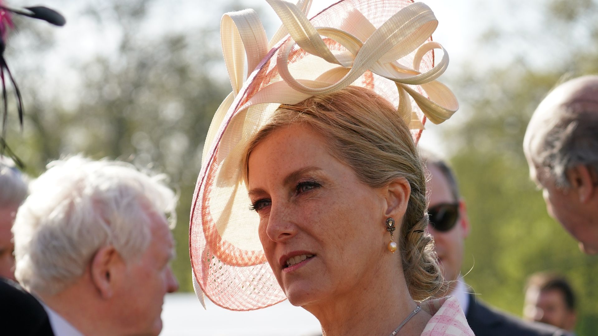 Sophie, Duchess of Edinburgh chatting in fascinator and pink check dress