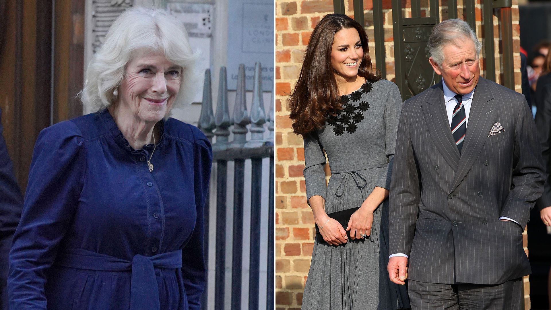 Queen Camilla visits Charles and Kate in hospital