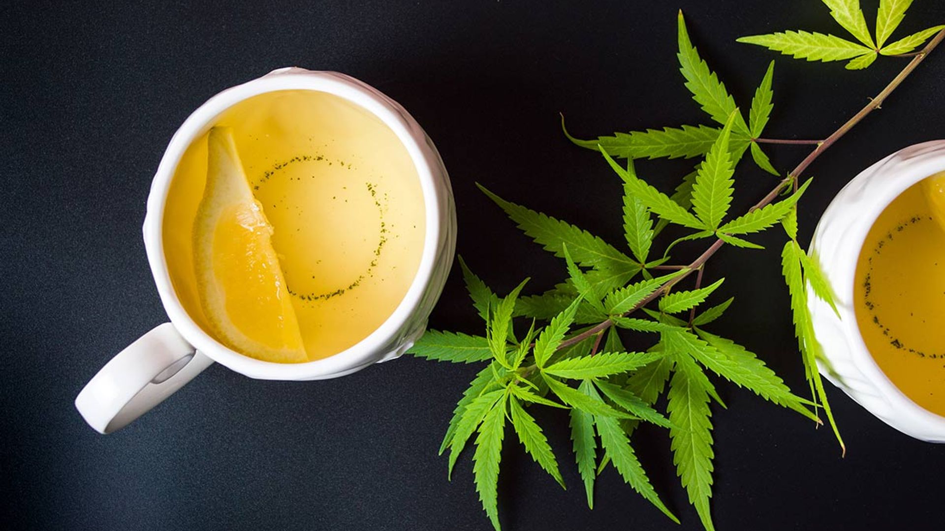 A rising trend for CBD-infused drinks sees the launch of a new tea with botanical hemp CBD extract