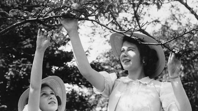 royal sisters playing with chameleon