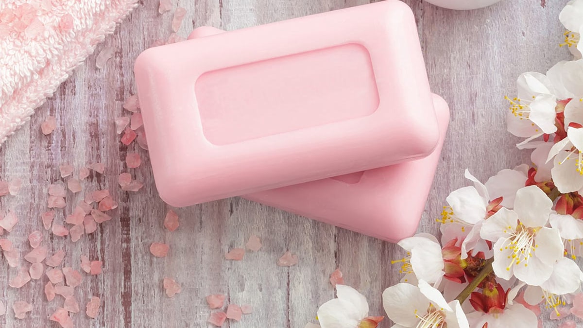 The best soap bars Plasticfree cleansers, conditioners and more HELLO!