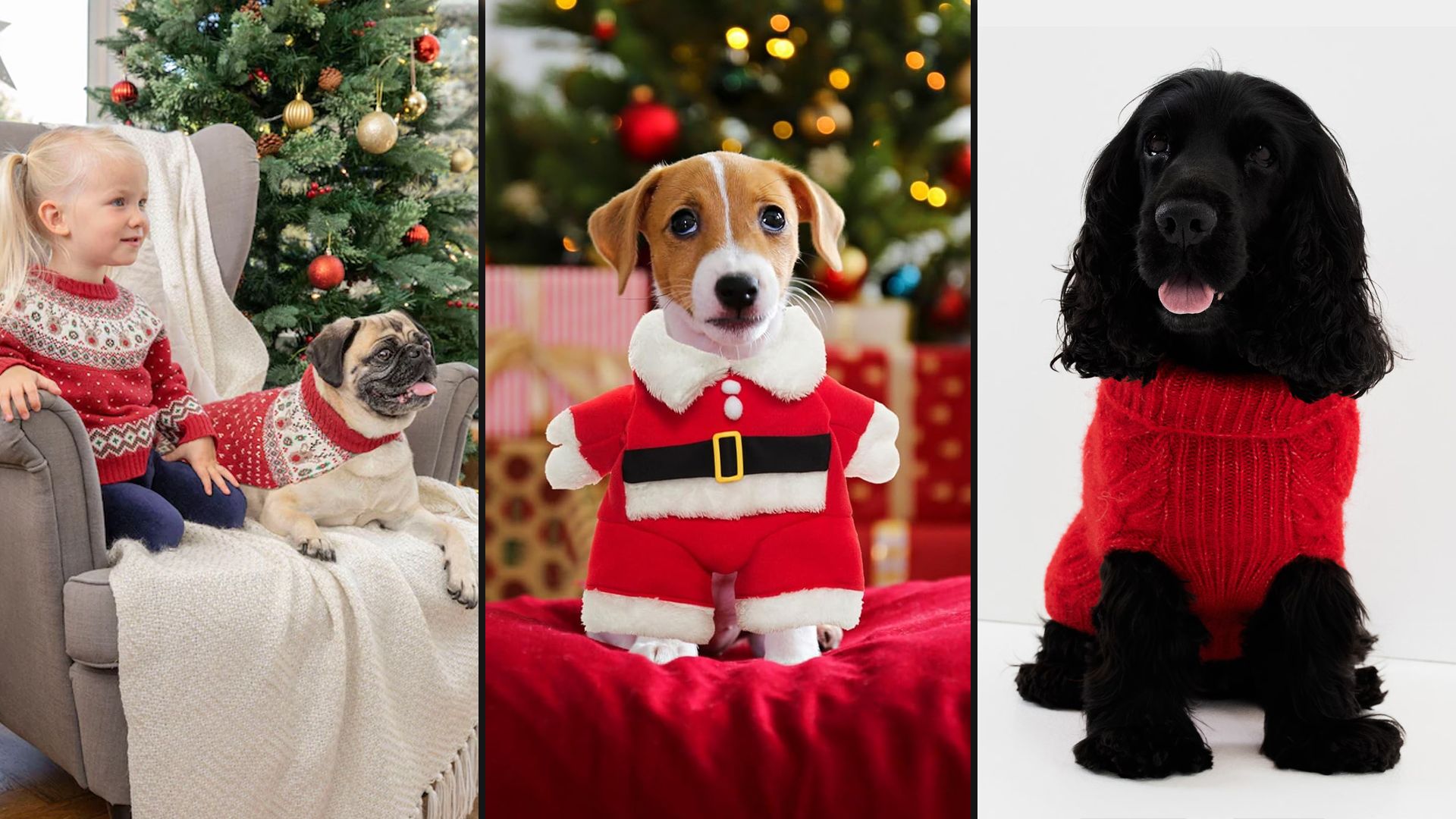 6 pawfect Christmas jumpers for your dog