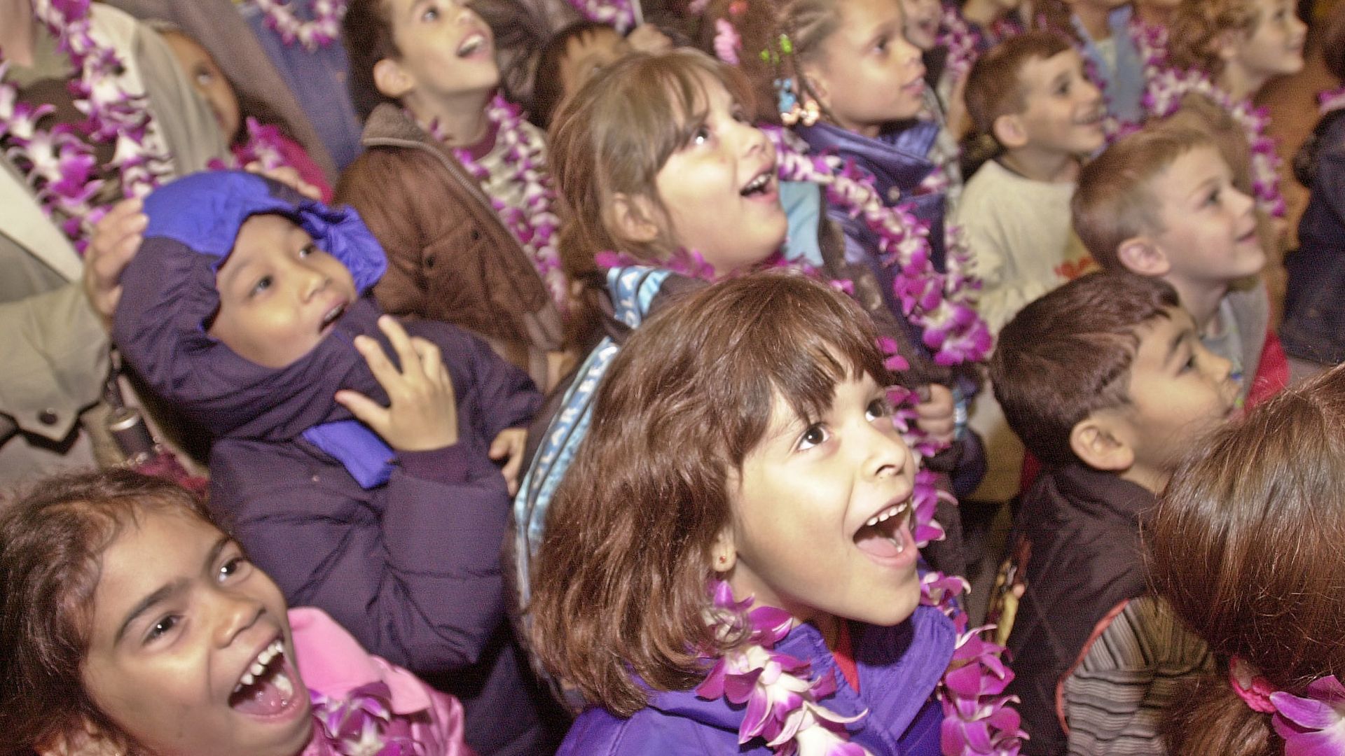 What are the best spots to see the parade live?