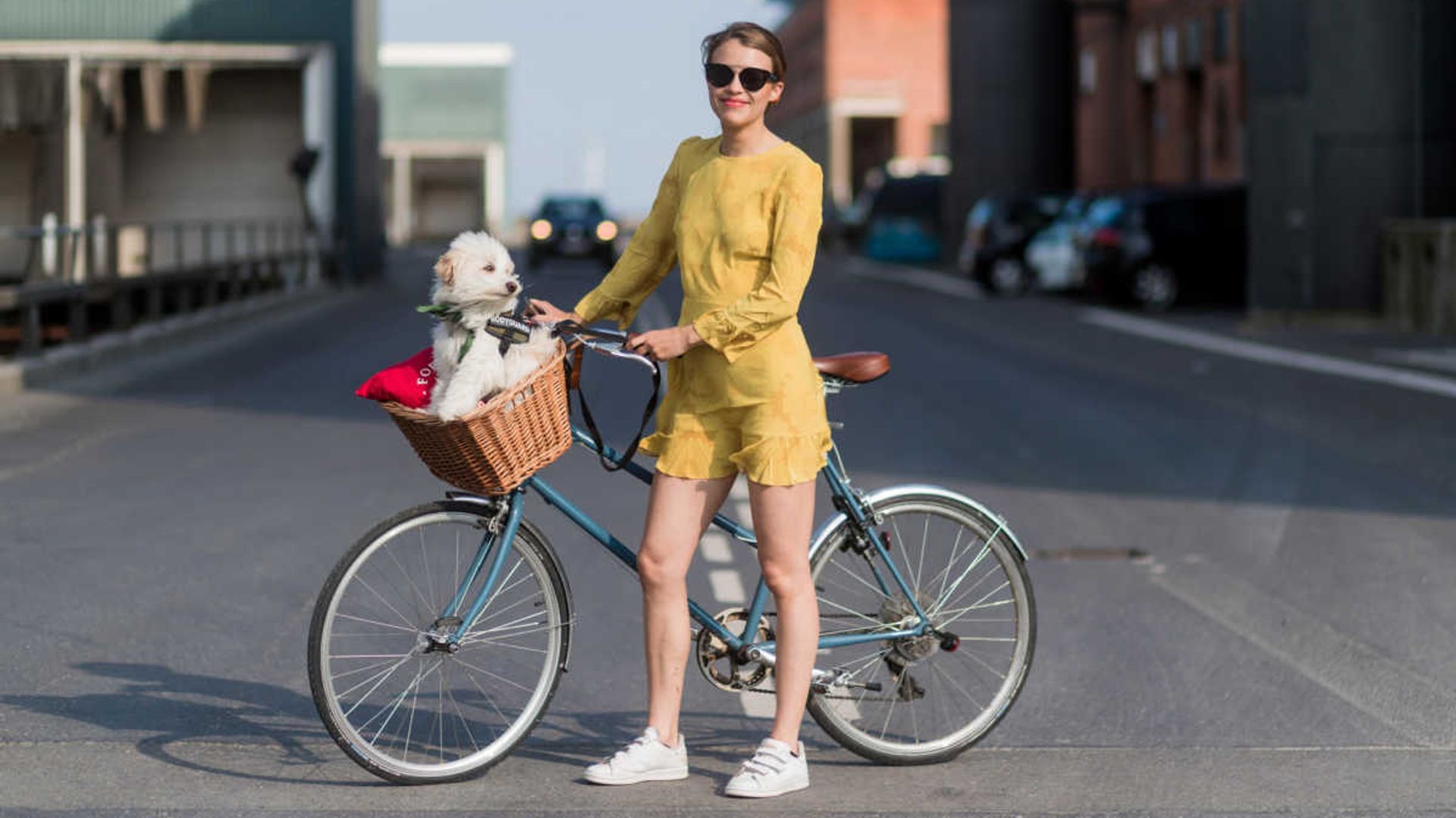 best ladies bikes with a basket 1