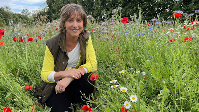 Rebecca Pow MP posing in nature in field of wildflowers 