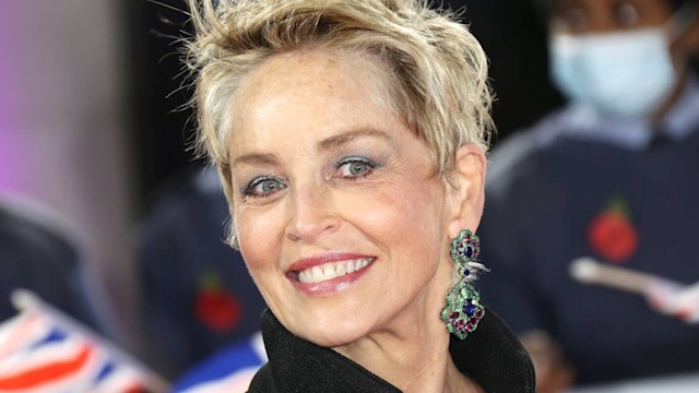 sharon stone jaw dropping photo red carpet