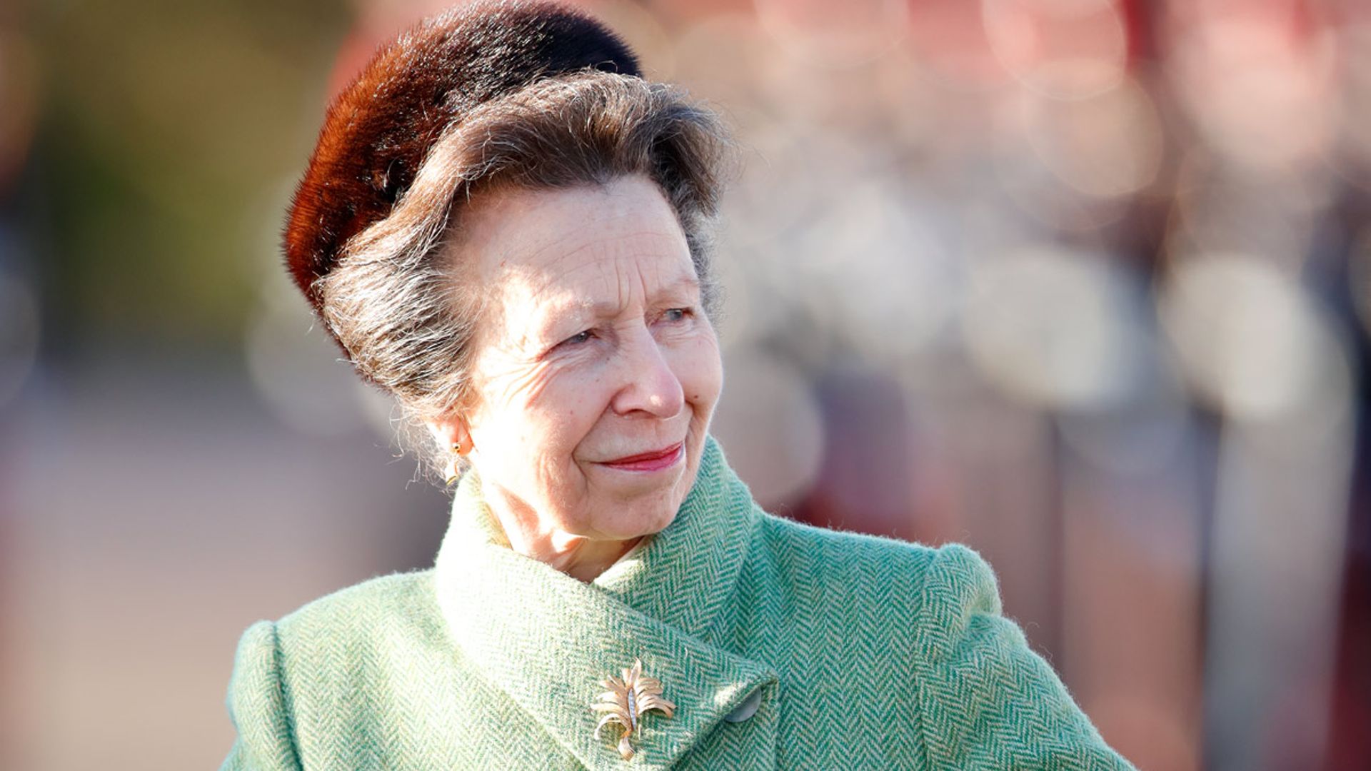 princess anne smile