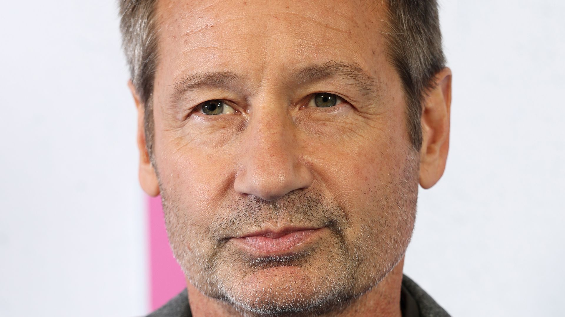 David Duchovny attends the "Malice" World Premiere