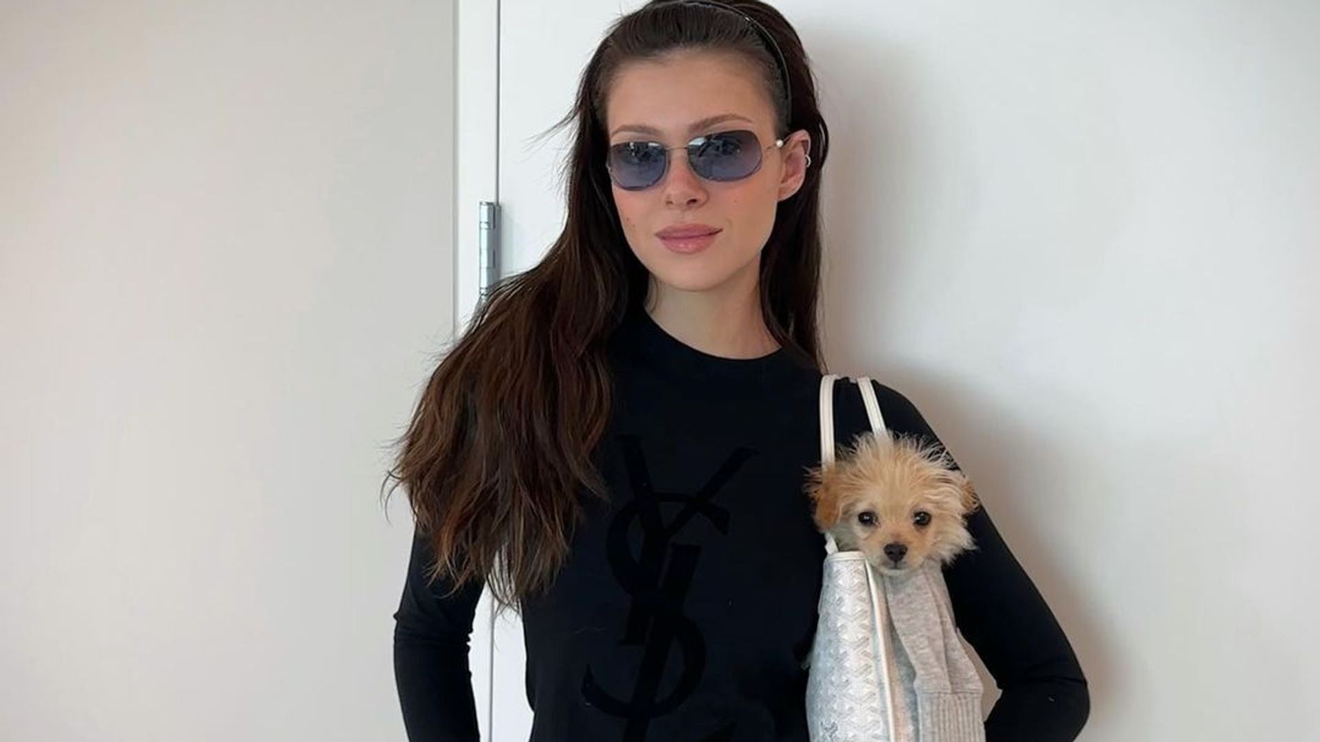 nicola peltz beckham with a dog in a handbag