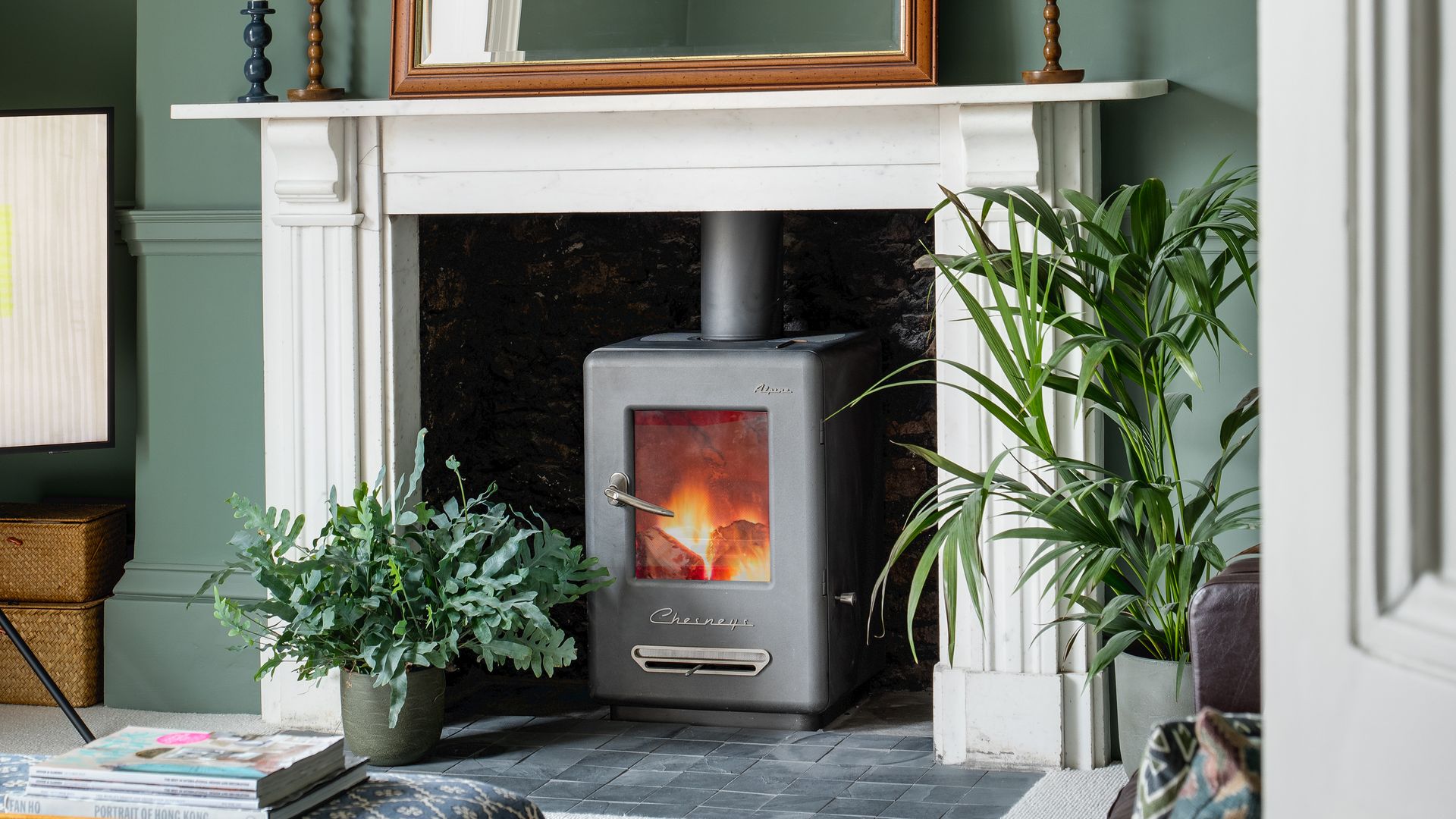 living room with fire