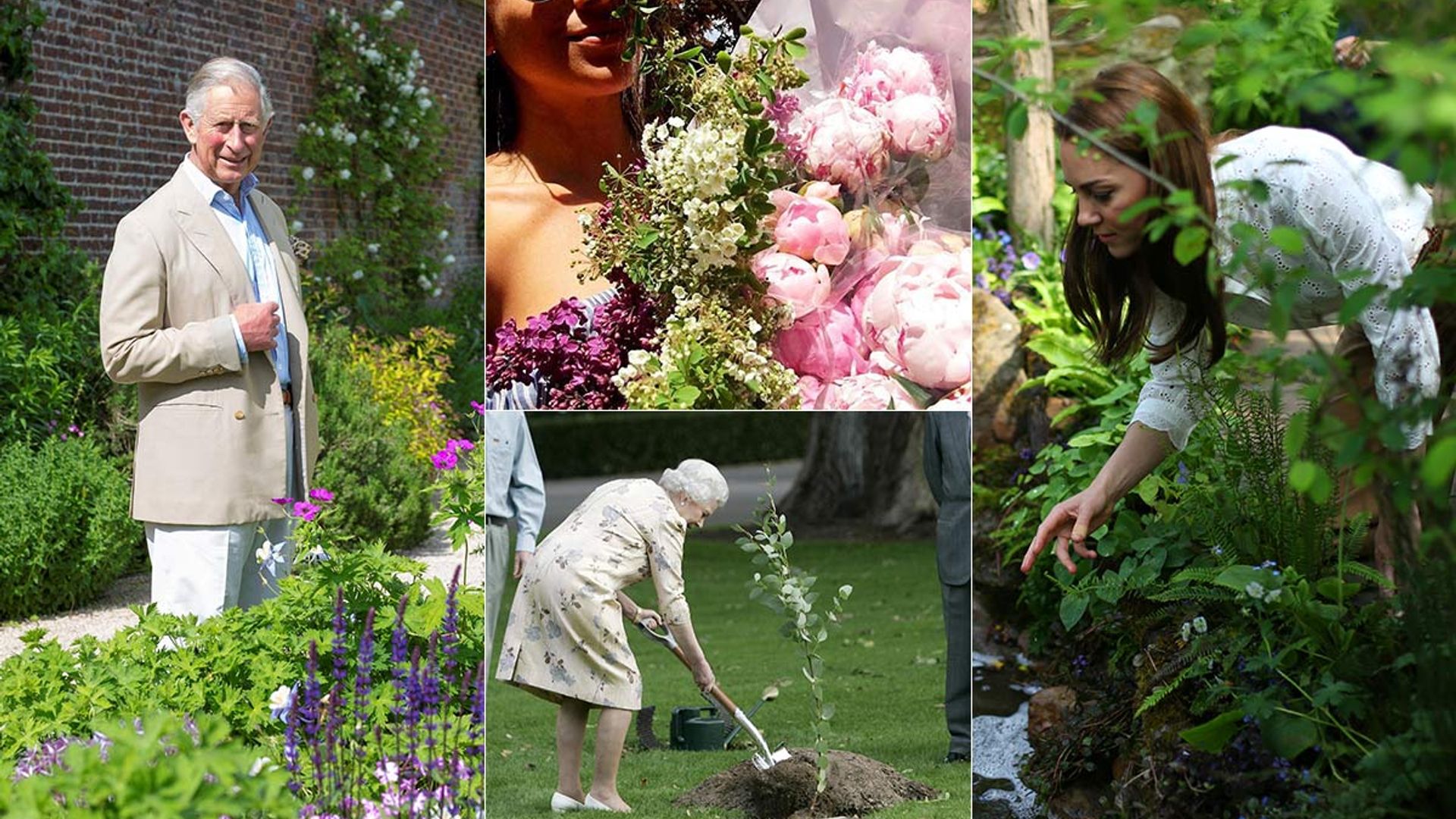 royals gardening