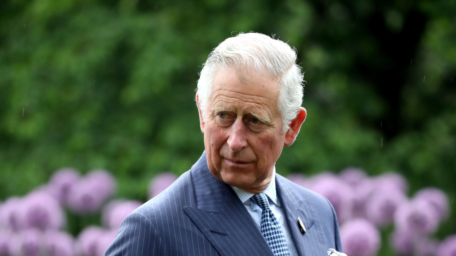 Charles amongst the Alliums during a visit to Kew Gardens wearing suit