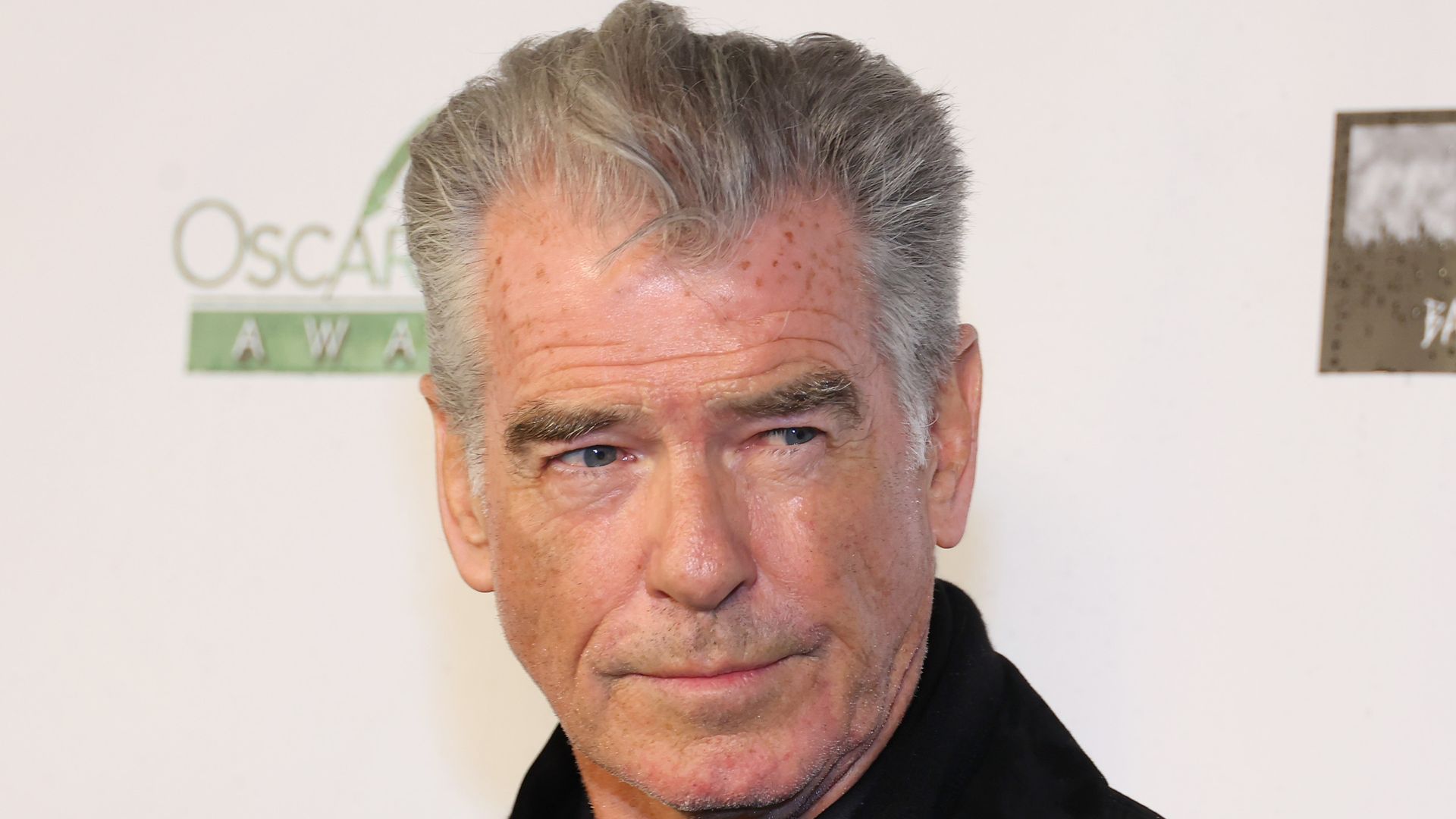 Pierce Brosnan's appearance in dapper new photo has fans saying the ...