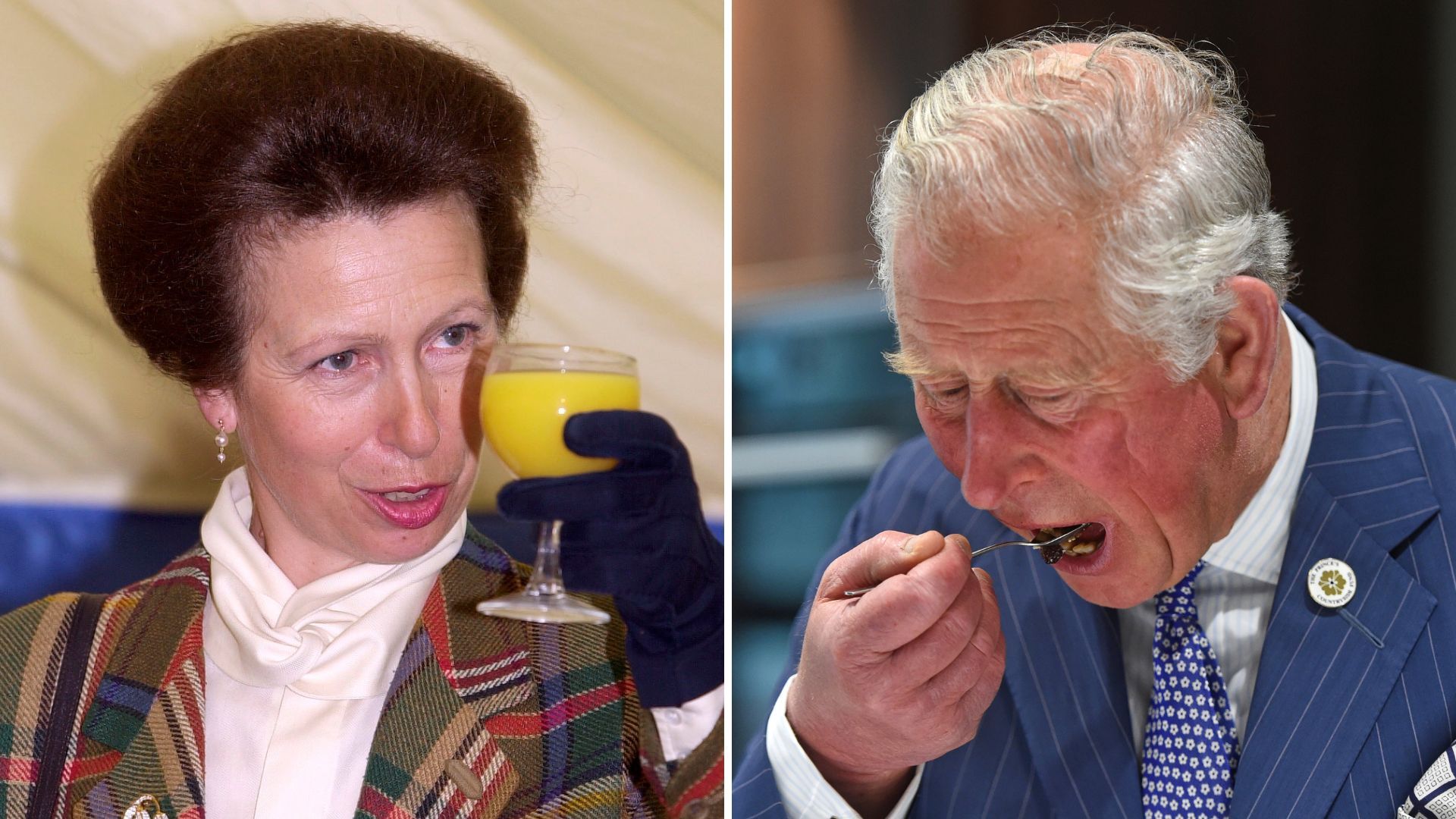Princess Anne's peculiar lunchtime habit she copied from King Charles