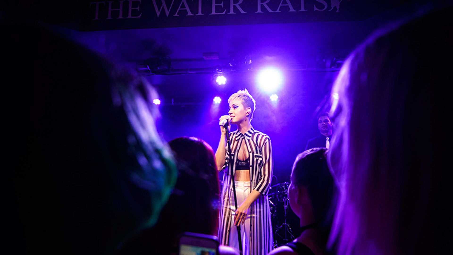 katy perry water rats