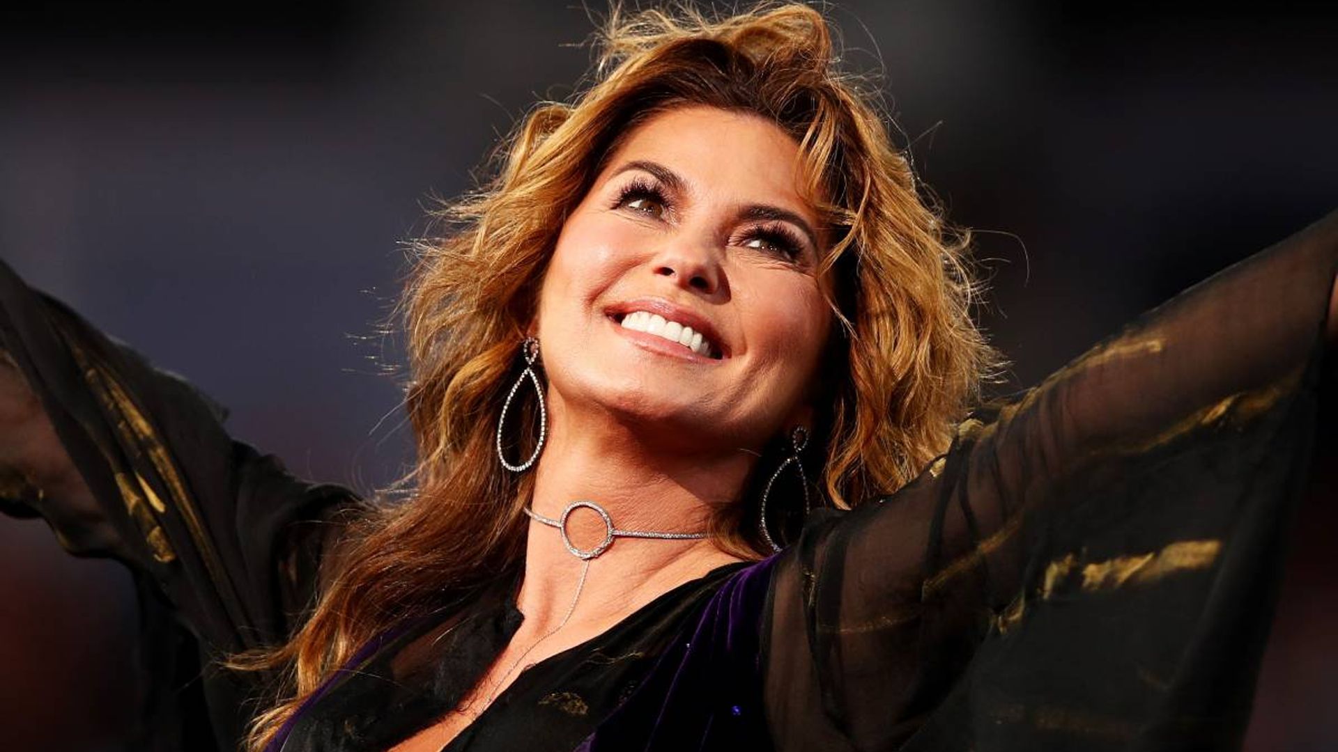 shania twain stuns strapless dress