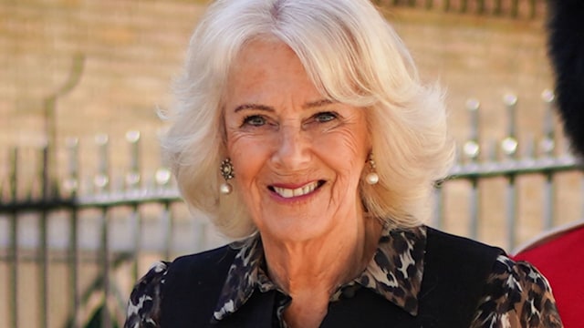Queen Camilla wearing leopard print blouse under dress and pearls