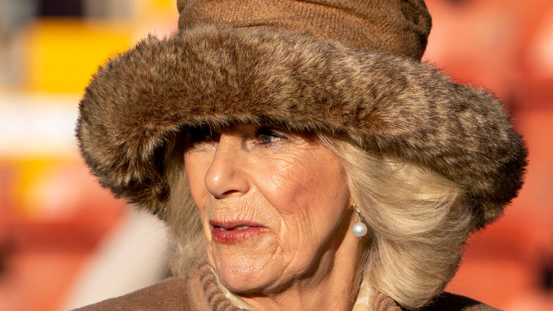 Queen Consort Camilla's knee-high boots have purse-friendly M&S dupe ...