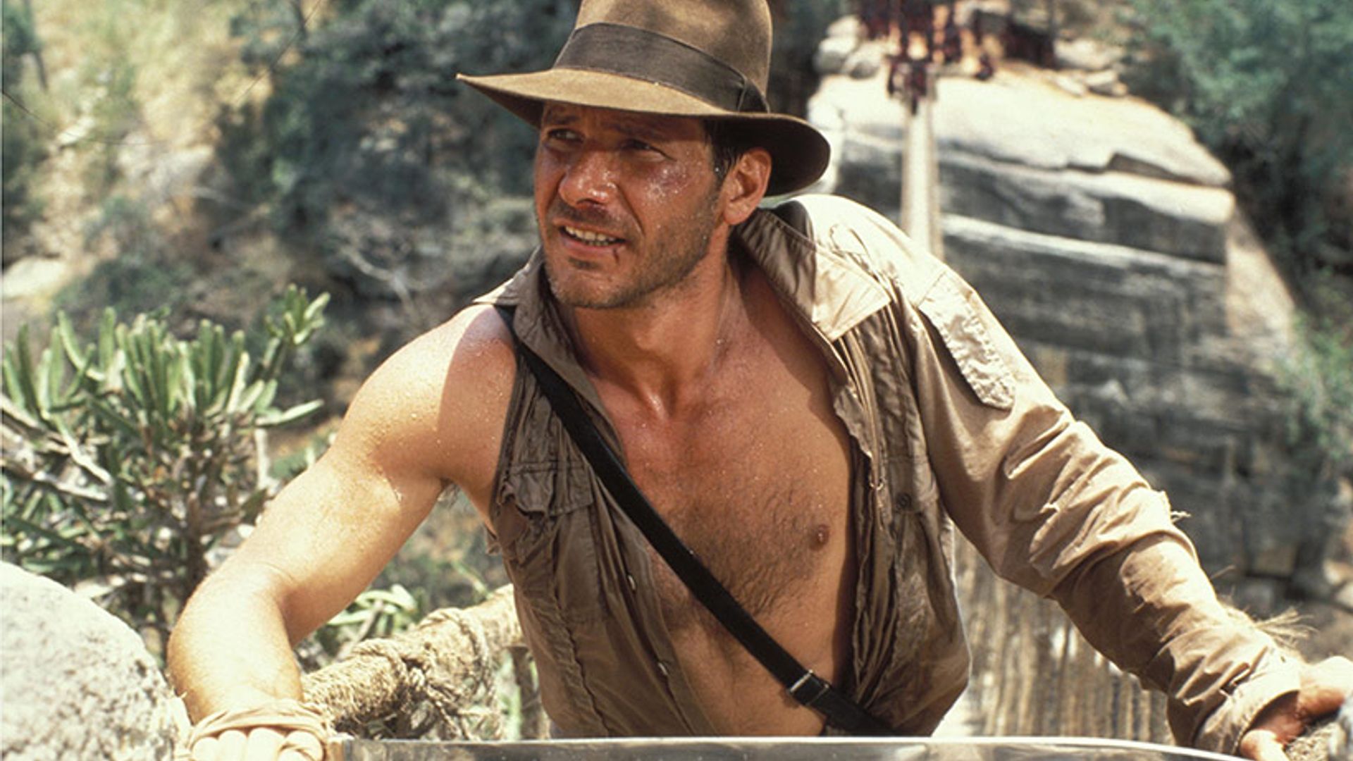 indiana jones harrison