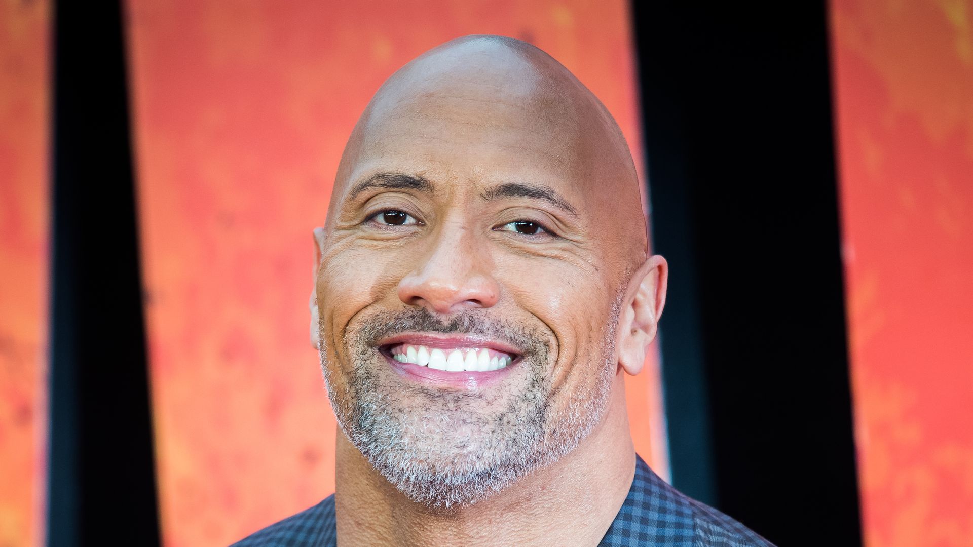 Stop What You're Doing And Look At The Rock's Eyebrow