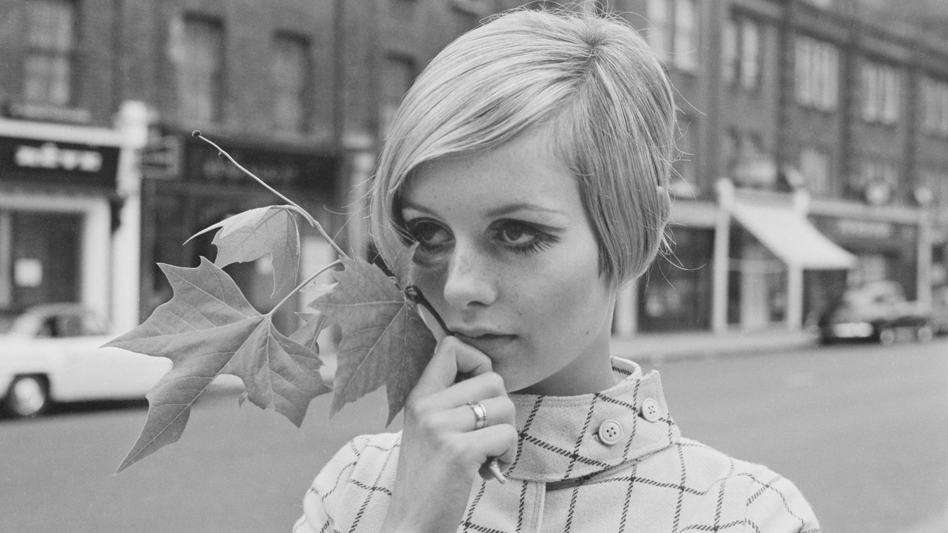 Twiggy in a checked dress holding a leaf 