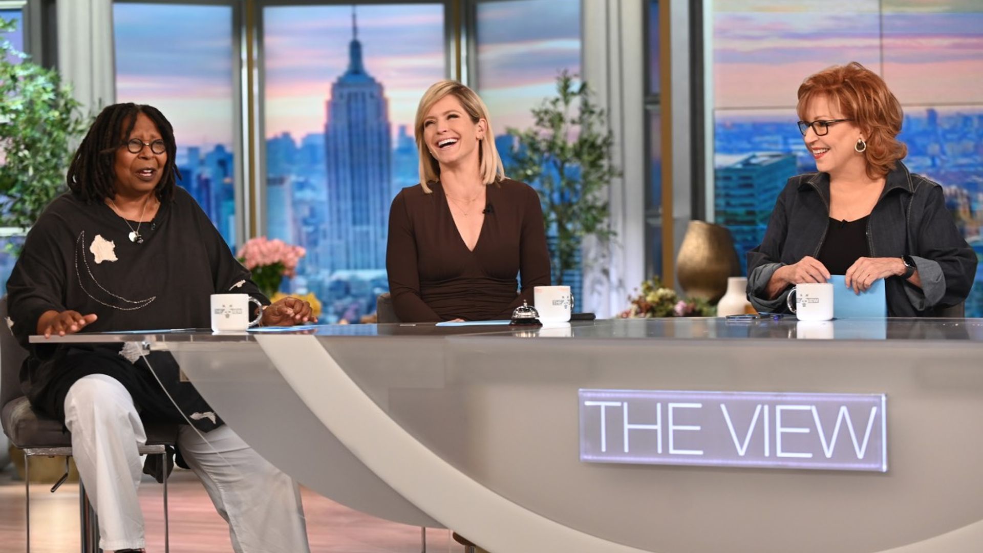 the view new season new host